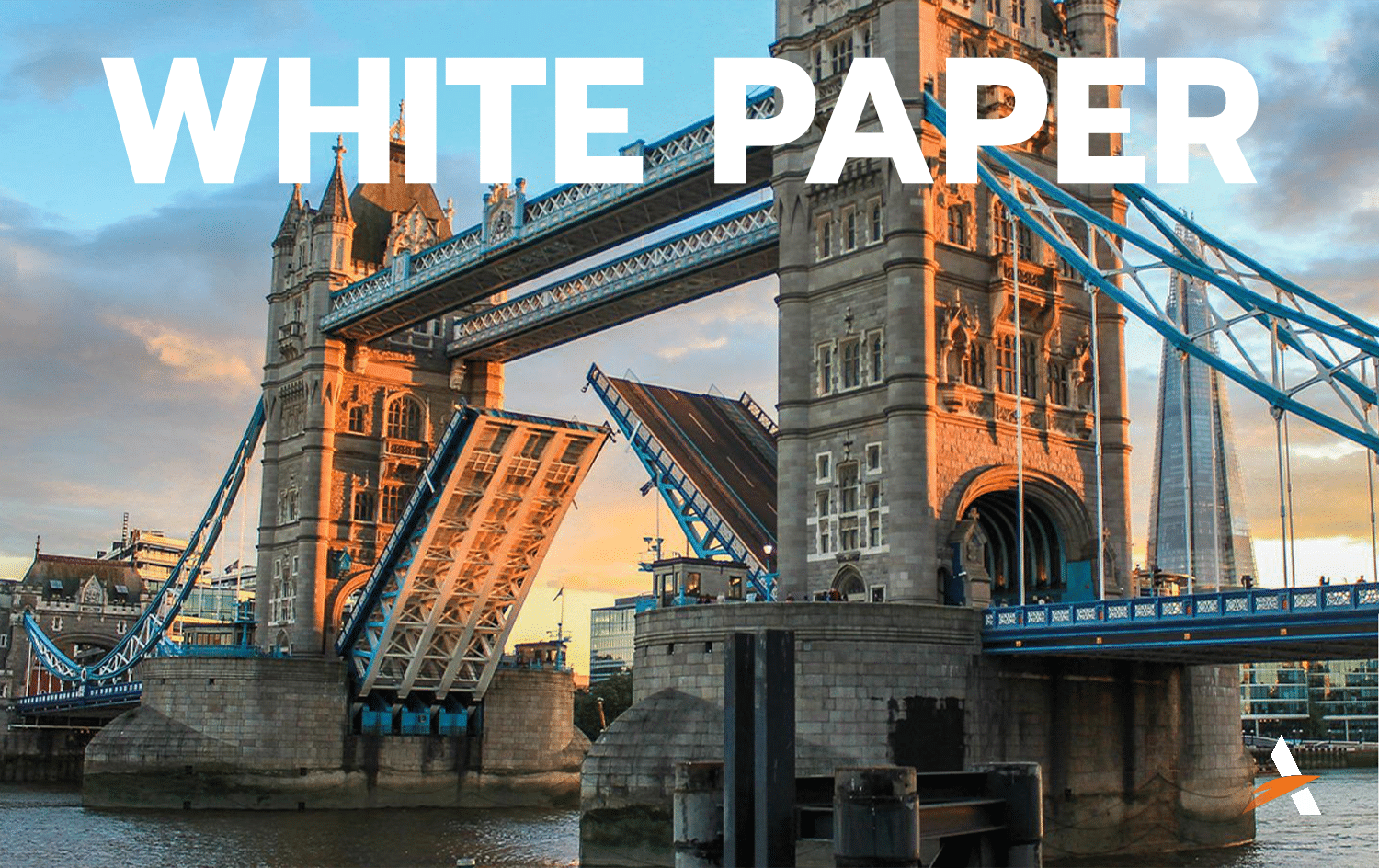 White Paper UK