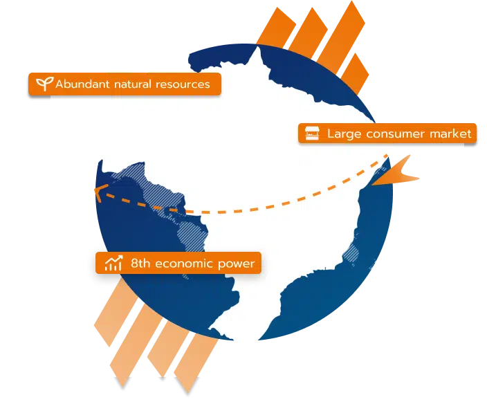 Infografía - Establecerse en Brasil