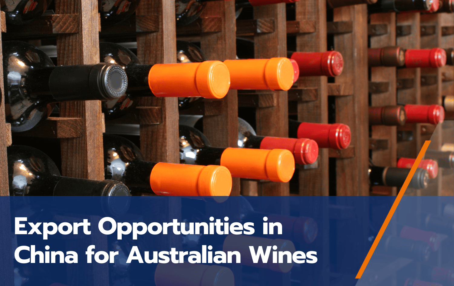 Opportunità di esportazione in Cina per i vini australiani