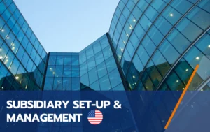 Subsidiary Set-up and Management in USA