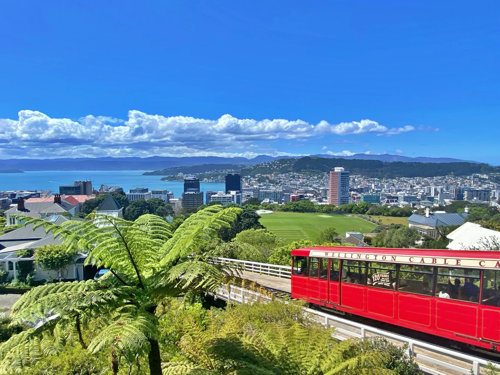 Establishing a Subsidiary in New Zealand