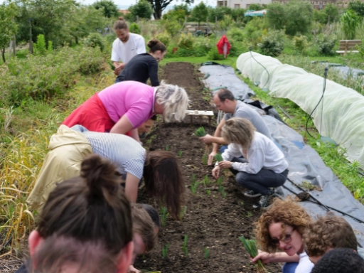 Environmental Commitments