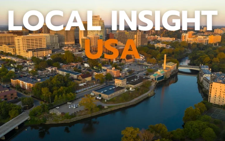 Local Insight USA: Buy business in USA